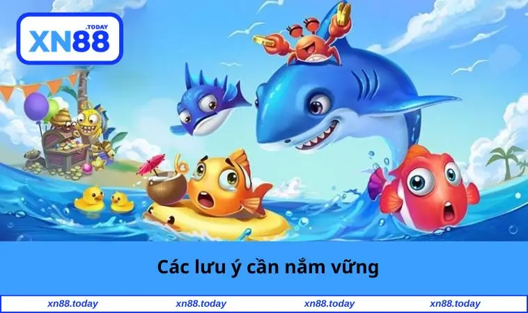 Các lưu ý cần nắm vững