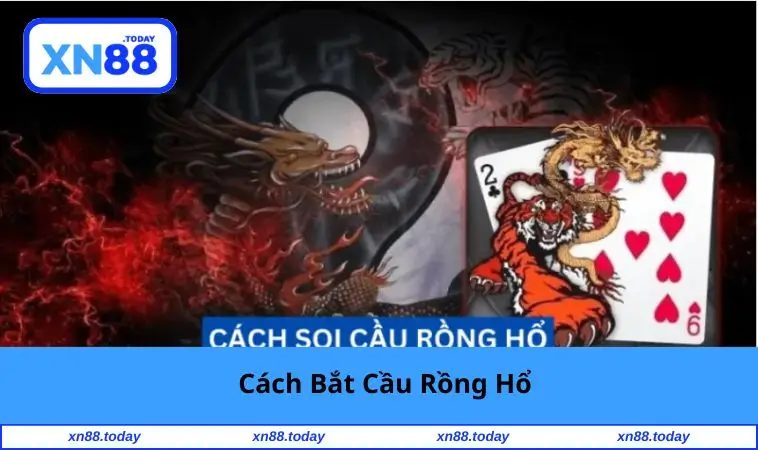 Cách Bắt Cầu Rồng Hổ