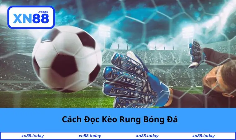Cách Đọc Kèo Rung Bóng Đá