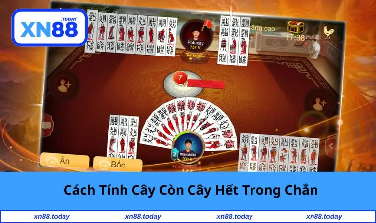 Cách Tính Cây Còn Cây Hết Trong Chắn