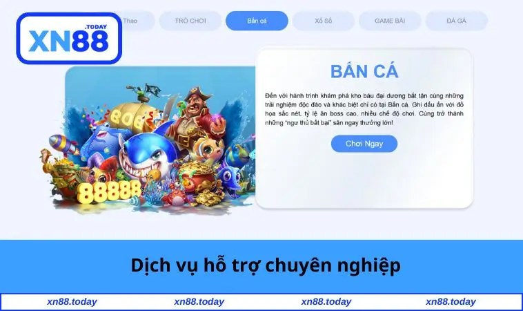 Dịch vụ hỗ trợ chuyên nghiệp