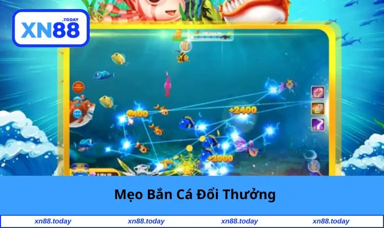 Mẹo Bắn Cá Đổi Thưởng