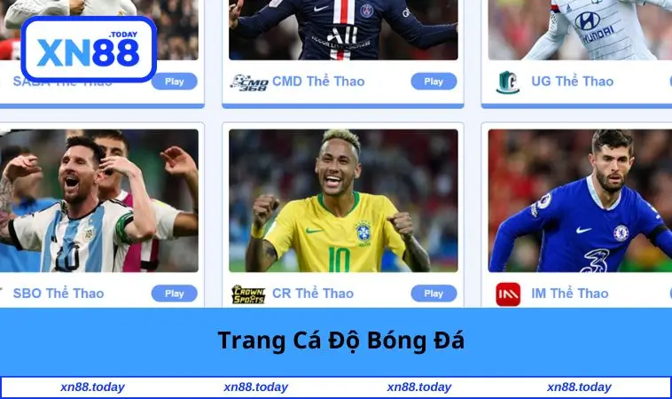Trang Cá Độ Bóng Đá